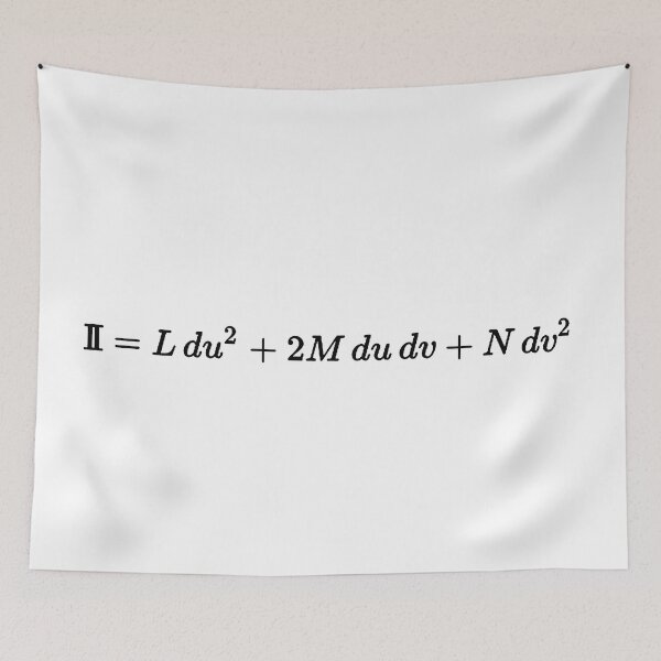 Item preview, Second fundamental form in differential geormetry designed and sold by NoetherSym.