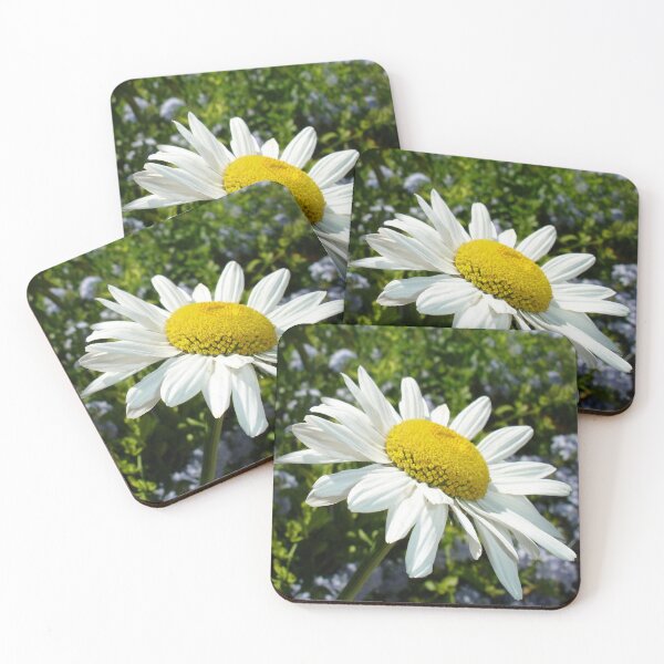 Item preview, White Shasta Daisy designed and sold by taiche.