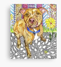 Pitbull Canvas Print