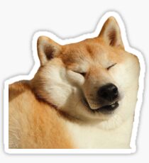 Squishiba Sticker