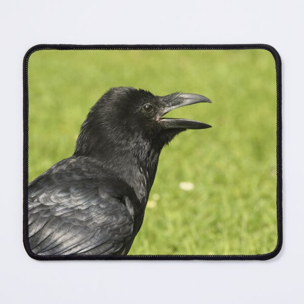 Item preview, Raven Side Portrait designed and sold by rwhooster.