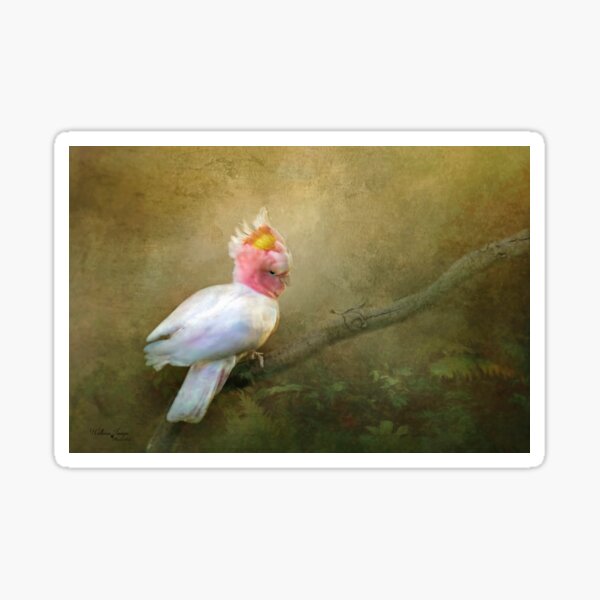 Item preview, Major Mitchell's Cockatoo designed and sold by wallarooimages.