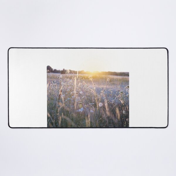 Aperçu de l'œuvre Champ de maïs au coucher du soleil créée et vendue par Matlasaya.