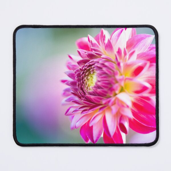 Item preview, Vibrant pink Dahlia flower designed and sold by CyaniRose.