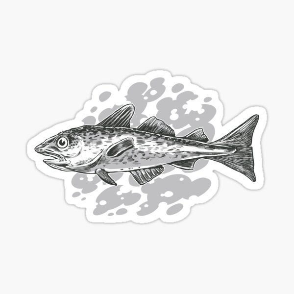 Cod Fish Fishing Sticker
