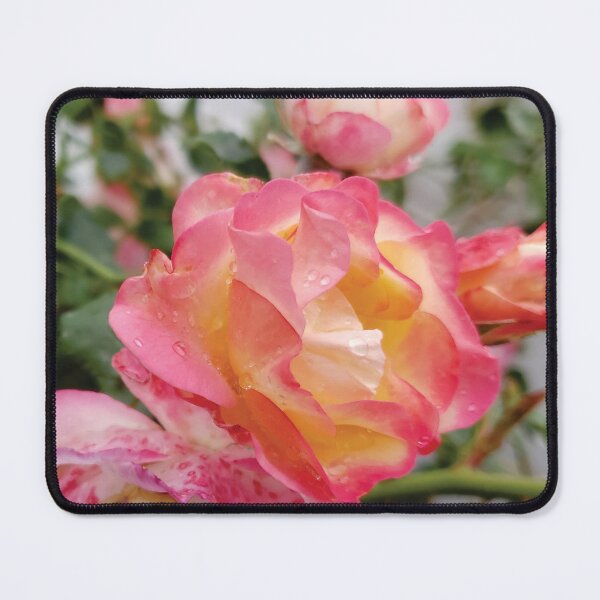 Item preview, Morden Campfire Rose designed and sold by Diane Petker.