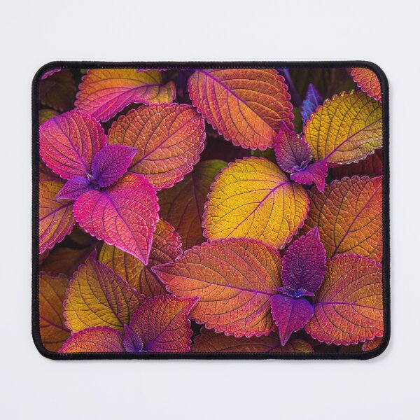 Item preview, Rainbow Coleus designed and sold by alan shapiro.