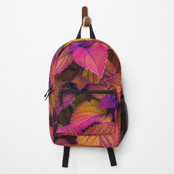 Item preview, Rainbow Coleus designed and sold by alan shapiro.