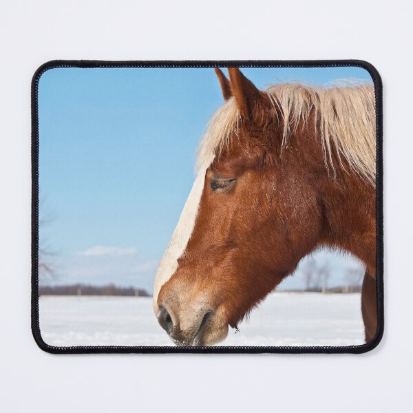 Item preview, Winter Belgian designed and sold by Michael Cummings.