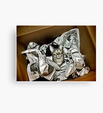 Cat In A Box Canvas Print