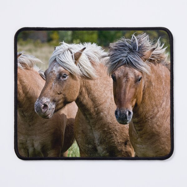 Item preview, Three Horses designed and sold by Michael Cummings.