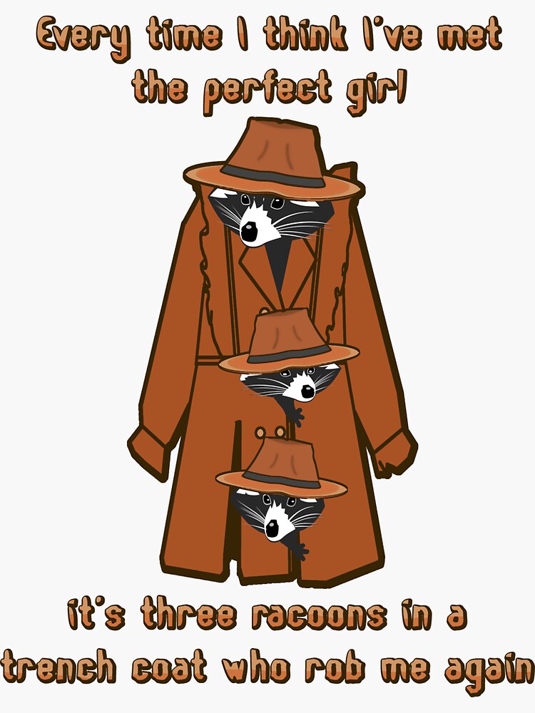 Perfect girl always three racoons in a trench coat
