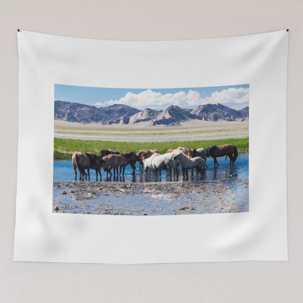 Item preview, Horses bathing in Tuv Province, Mongolia designed and sold by jennyjones.