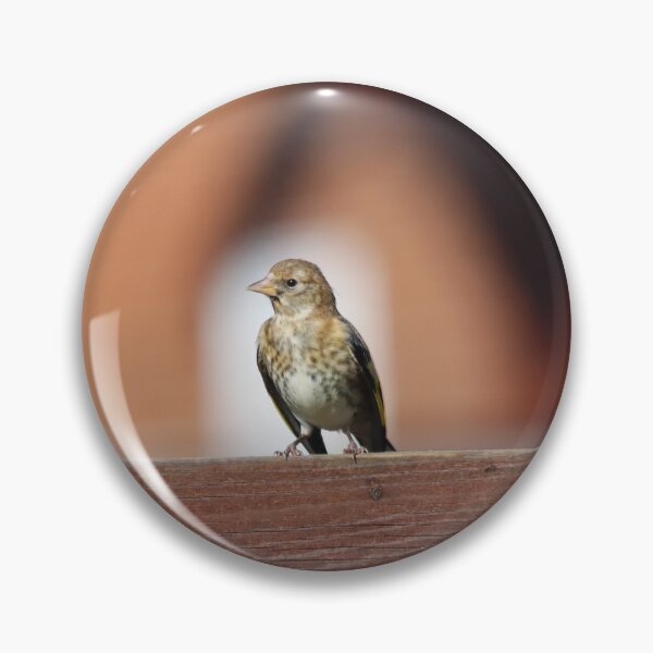 Item preview, Fledgling goldfinch designed and sold by GreyFeatherPhot.