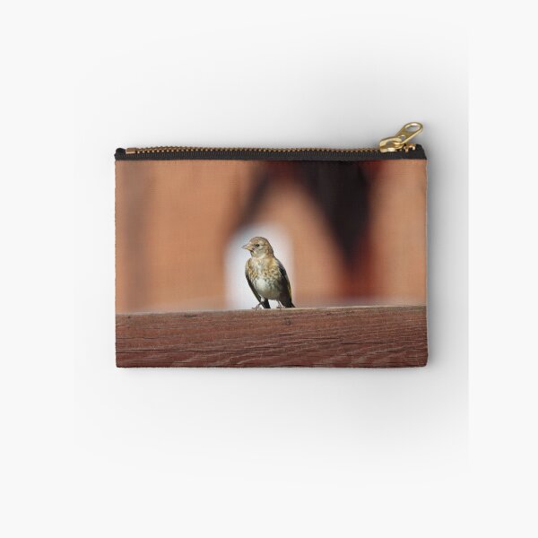 Item preview, Fledgling goldfinch designed and sold by GreyFeatherPhot.
