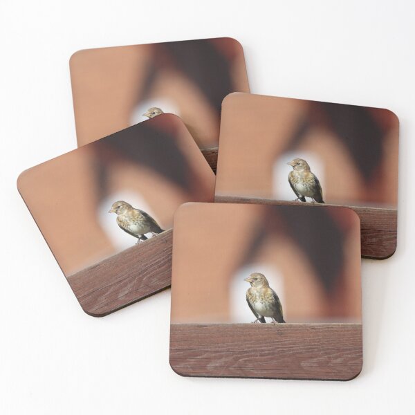 Item preview, Fledgling goldfinch designed and sold by GreyFeatherPhot.