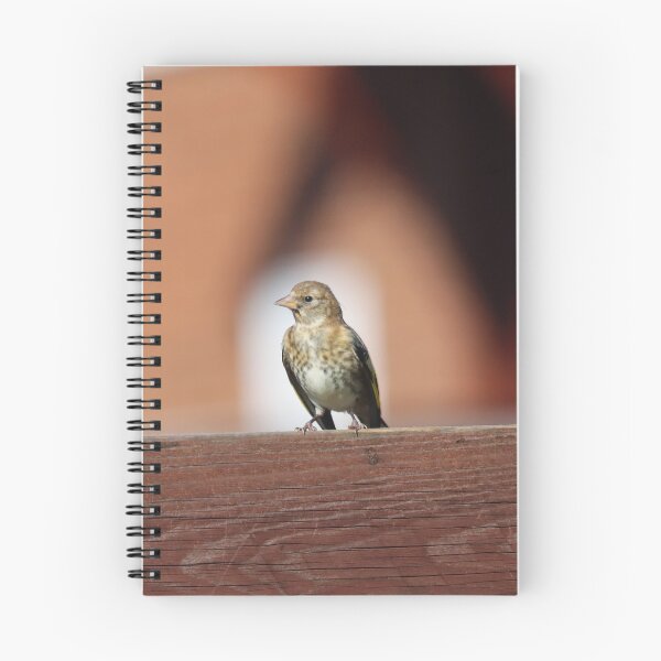 Item preview, Fledgling goldfinch designed and sold by GreyFeatherPhot.