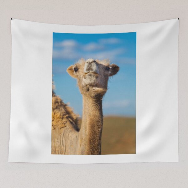 Item preview, Camel in the Gobi Desert, Mongolia designed and sold by jennyjones.