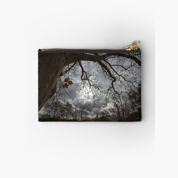 Item preview, A walk through Acton in Canberra/ACT/Australia (8) designed and sold by Wolf Sverak Photography.
