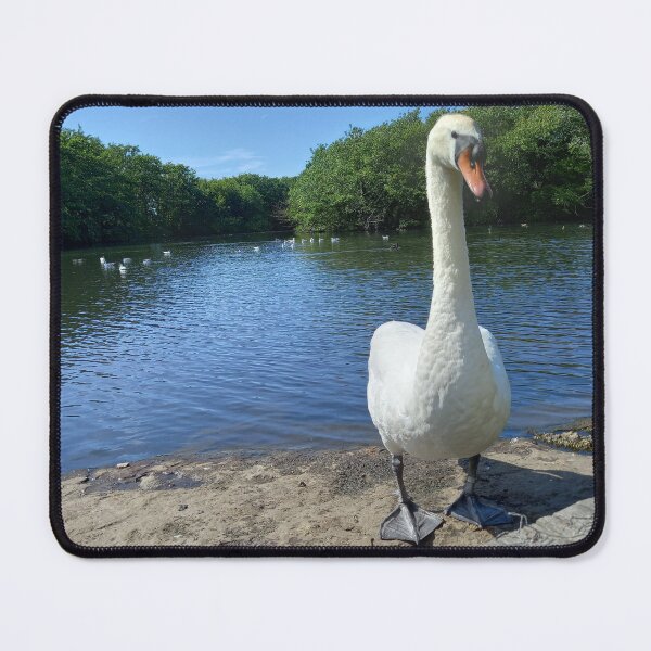 Item preview, That Is Swan Big Bird designed and sold by LPYLPhotography.
