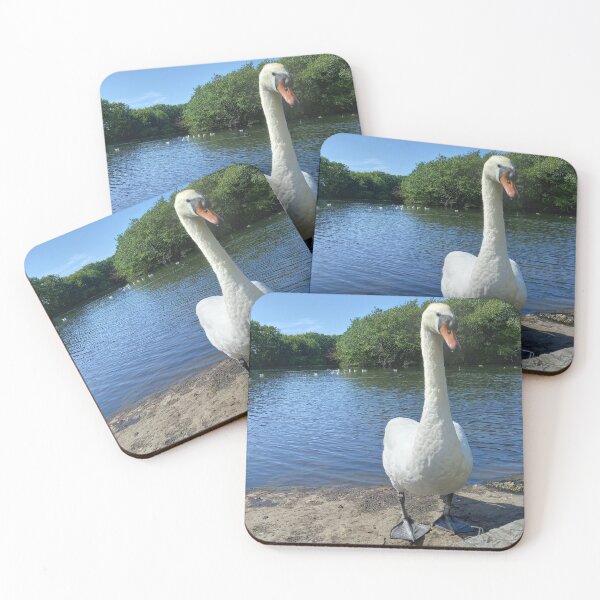 Item preview, That Is Swan Big Bird designed and sold by LPYLPhotography.