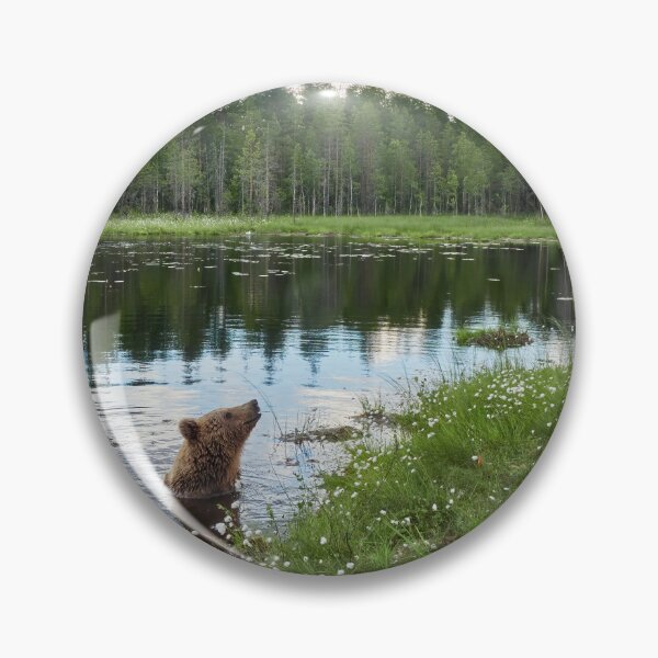 Item preview, Those furry inland seals. Brown bear designed and sold by Jouko Lehto Photography.