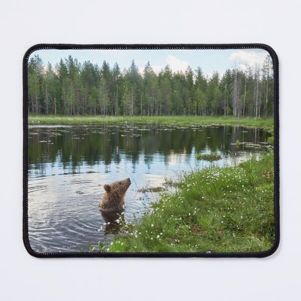 Item preview, Those furry inland seals. Brown bear designed and sold by Jouko Lehto Photography.