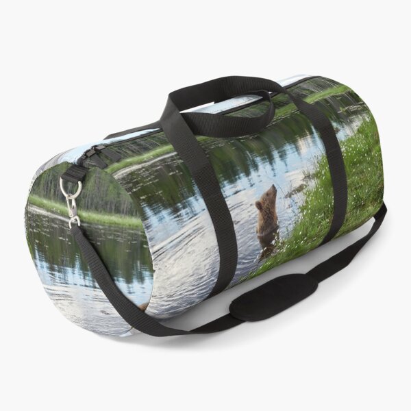 Item preview, Those furry inland seals. Brown bear designed and sold by Jouko Lehto Photography.