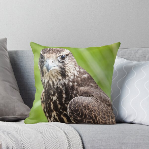 Aperçu de l'œuvre Hawk à Ölgii, Mongolie créée et vendue par jennyjones.