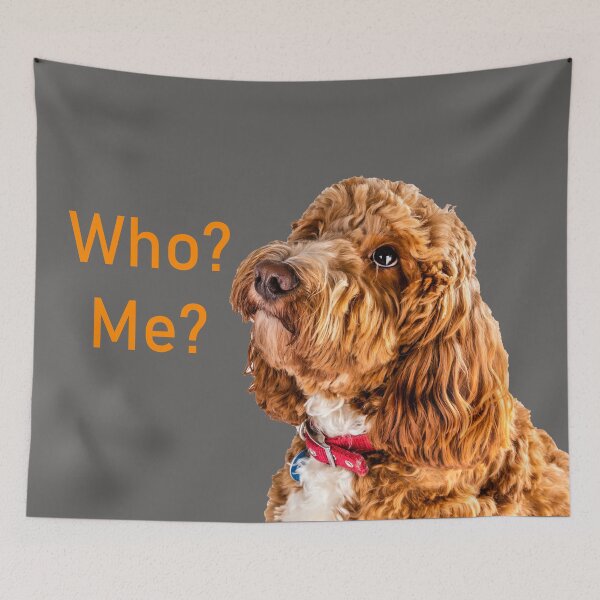 Item preview, Who? Me? designed and sold by Paul Thompson Photography.