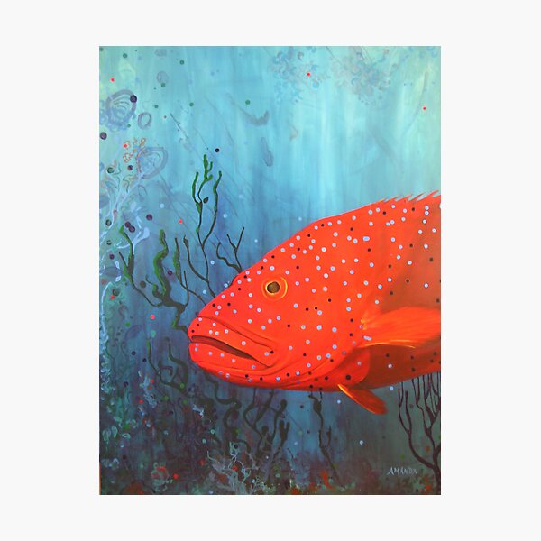Item preview, coral trout designed and sold by Amanda Reichelt-Brushett.