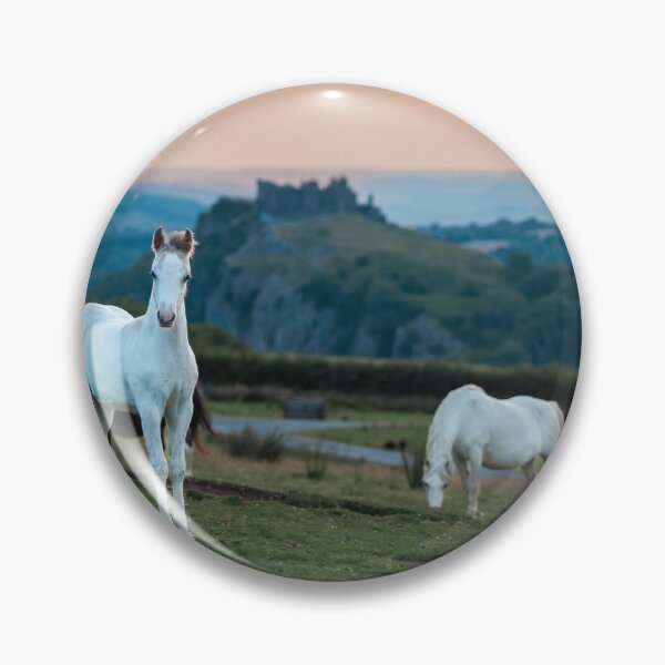 Item preview, Ponies at Carreg Cennin Castle designed and sold by Leighton Collins.