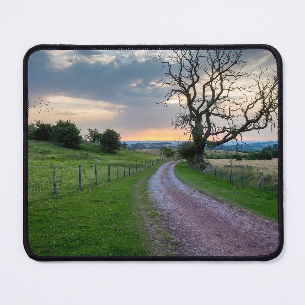 Item preview, The long road home designed and sold by Leighton Collins.