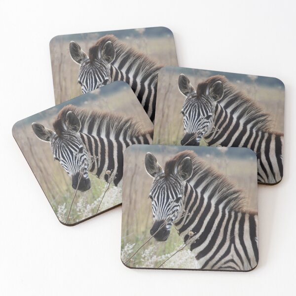 Item preview, Zebra photograph - Rietvlei Nature Reserve, South Africa designed and sold by Marlienart.
