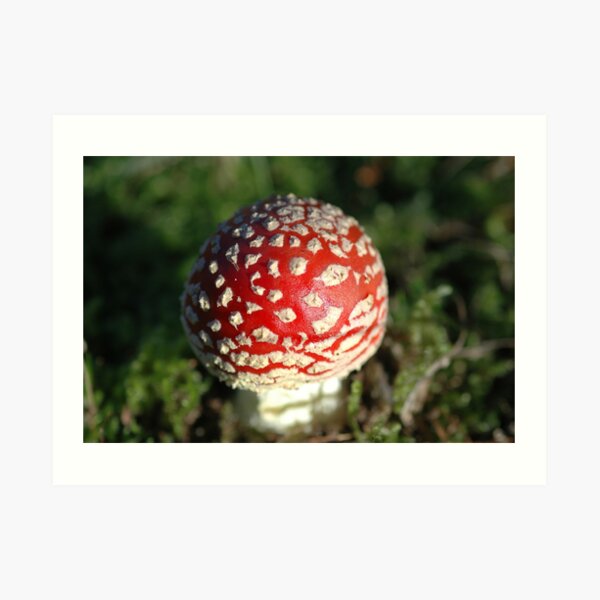 Macro Mushy Art Print