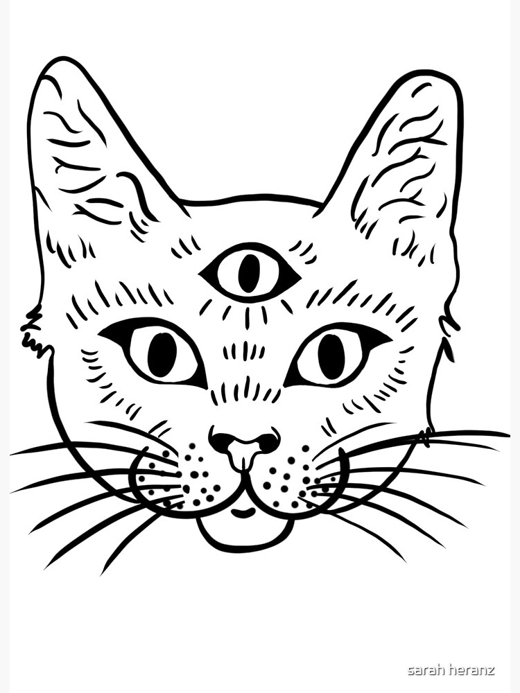 3 eyed cat sticker