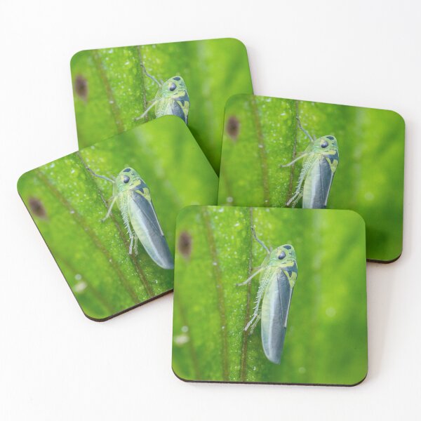 Item preview, Unique and organic photo of a leafhopper designed and sold by AvonPerception.
