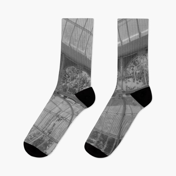 Item preview, Crystal Palace in Madrid, Spain | Europe on B&W Film designed and sold by julidescole.