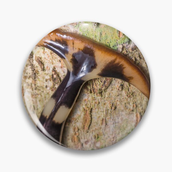 Item preview, Unique and organic photo of a hammerhead flatworm designed and sold by AvonPerception.