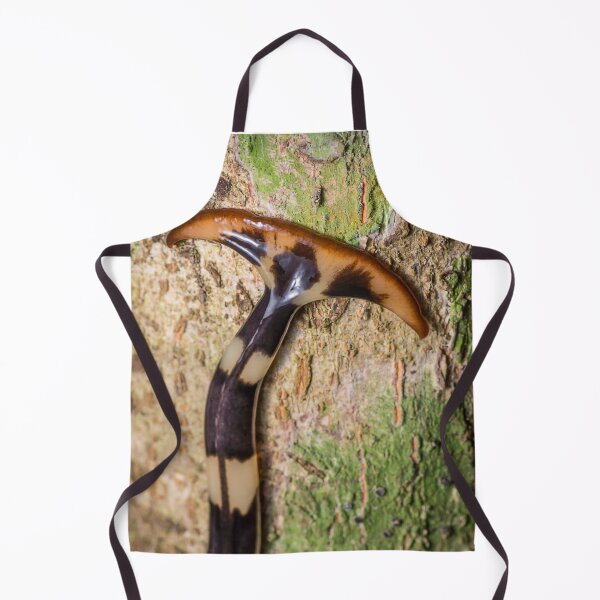 Item preview, Unique and organic photo of a hammerhead flatworm designed and sold by AvonPerception.
