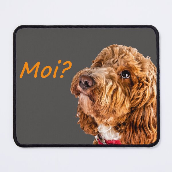 Item preview, Moi? designed and sold by Paul Thompson Photography.