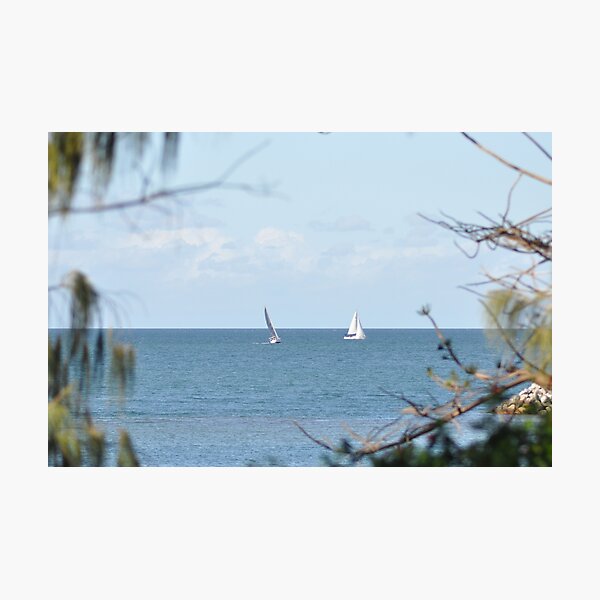 Yachts on Moreton Bay Photographic Print