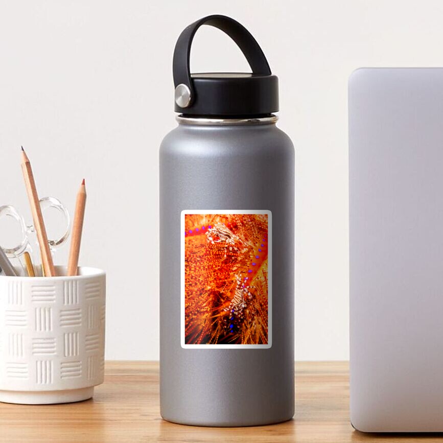 Home of fiery spines Sticker