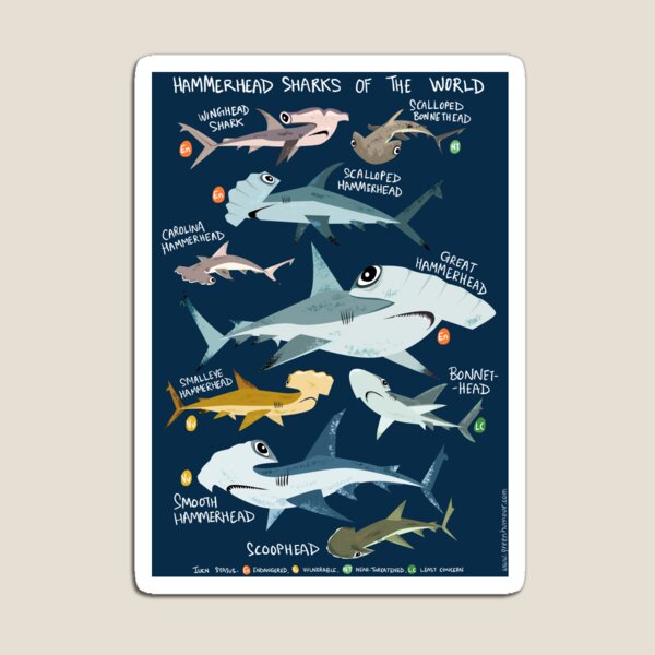 Item preview, Hammerhead Sharks of the World designed and sold by Green Humour.