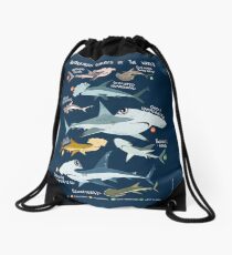 Hammerhead Sharks of the World Drawstring Bag