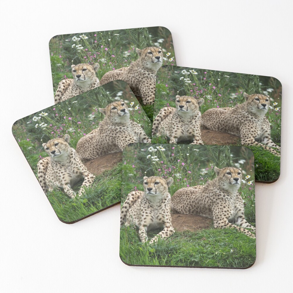 Item preview, Coasters (Set of 4) designed and sold by rawshutterbug.