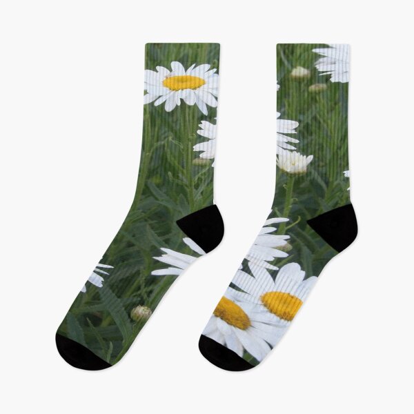 Item preview, Shasta Daisy Floral Landscape designed and sold by taiche.