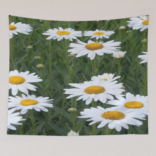 Item preview, Shasta Daisy Floral Landscape designed and sold by taiche.