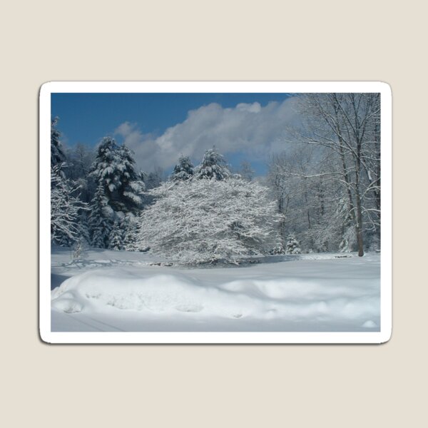 Item preview, Snow Covered Tree Near Saratoga Springs NY designed and sold by Kurt Gardiner.