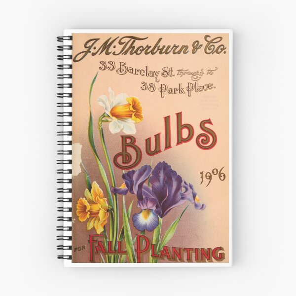 Item preview, Vintage 1906 Thorburn & Co. Spring Bulb Catalog designed and sold by MochaMeli.